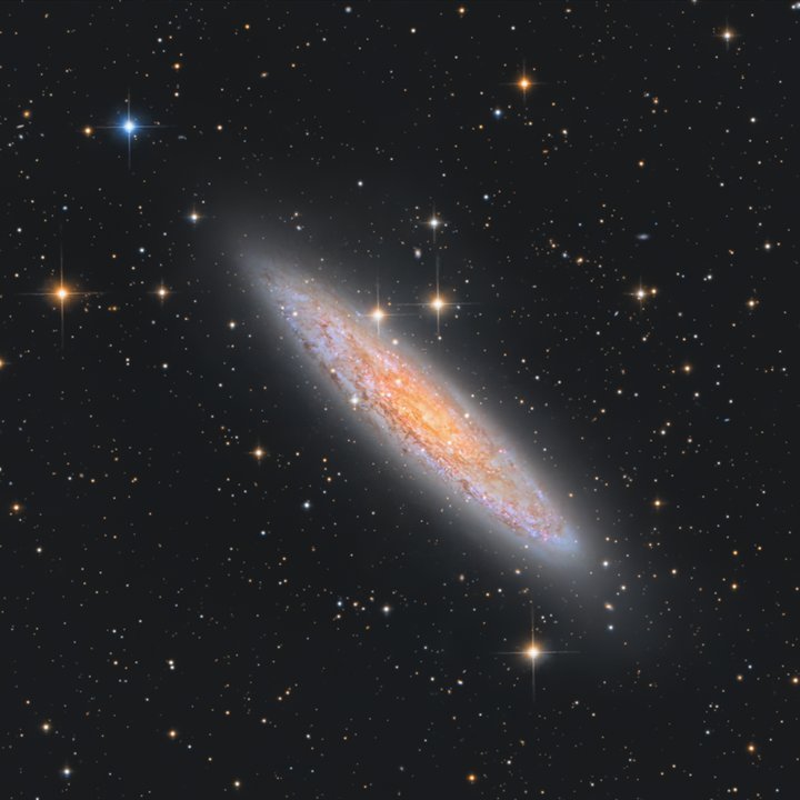Sculptor Galaxy (NGC 253 • Caldwell 65)