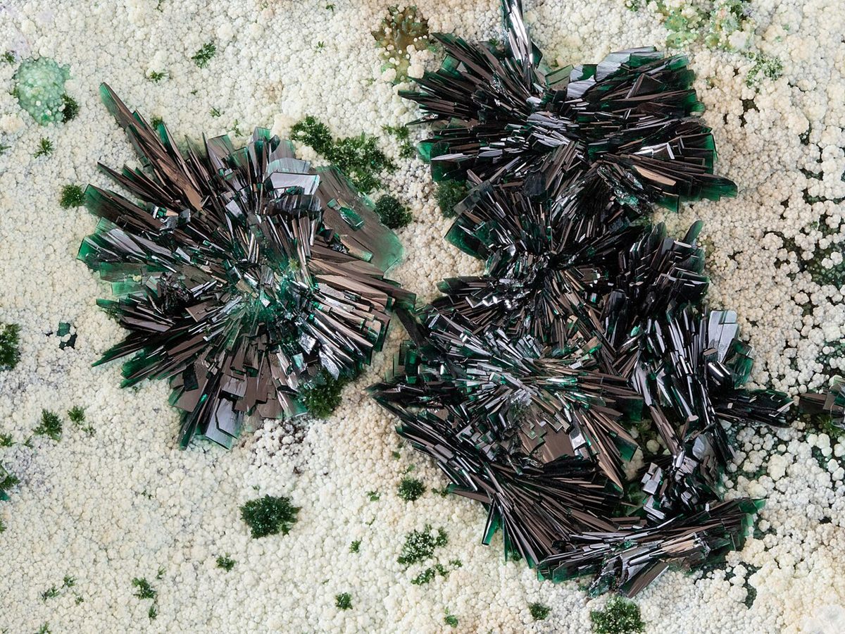 Photograph of Atacamite (Cu₂Cl(OH)₃ • Orthorhombic Copper Halide)