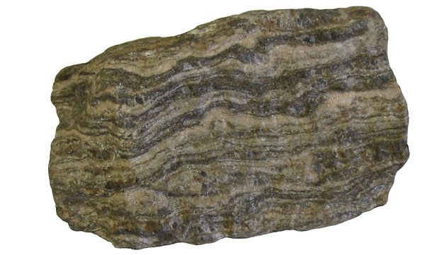 Photograph of Augen Gneiss (Porphyroclastic K-Feldspar Augen Gneiss)