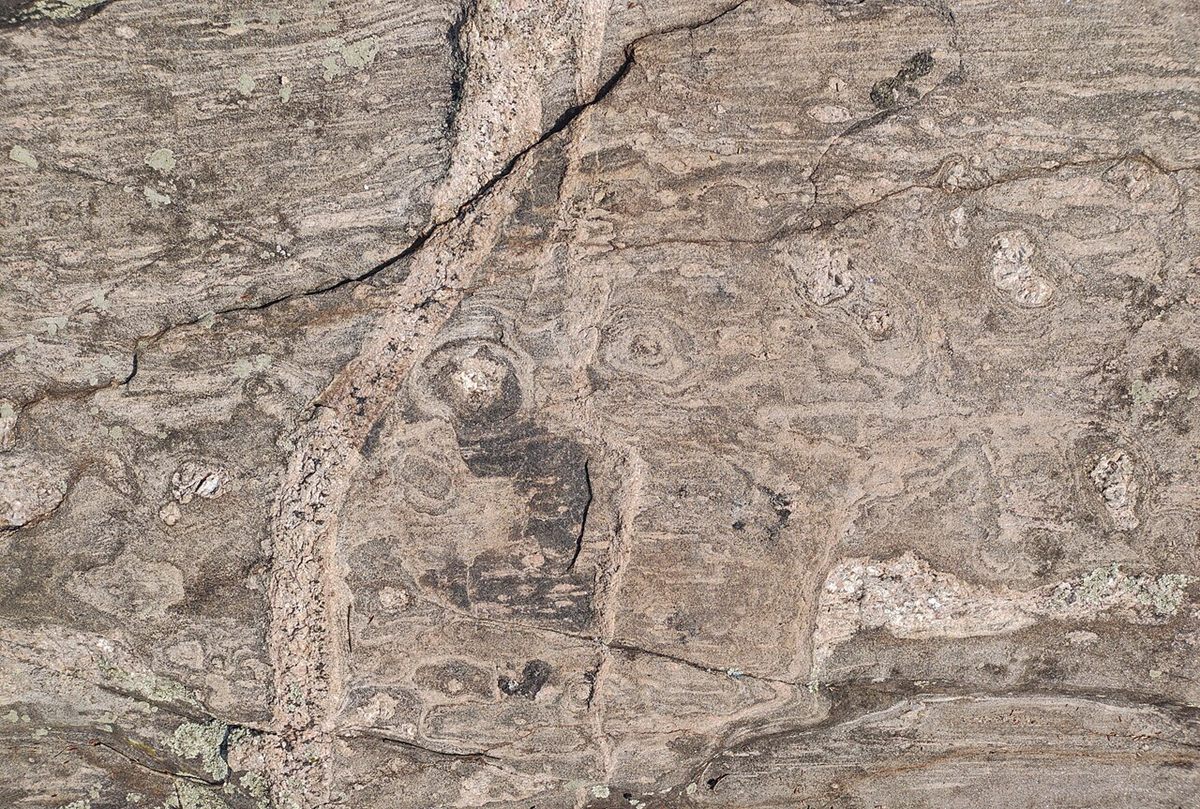 Photograph of Banded Orthogneiss (Compositional FelsicโMafic Banded Gneiss)