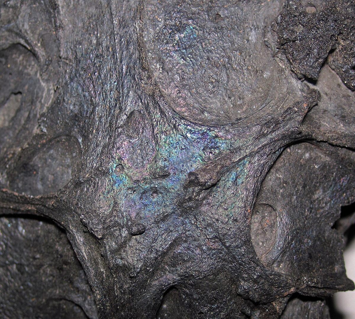Photograph of Basalt (Aphanitic Tholeiitic Basalt)