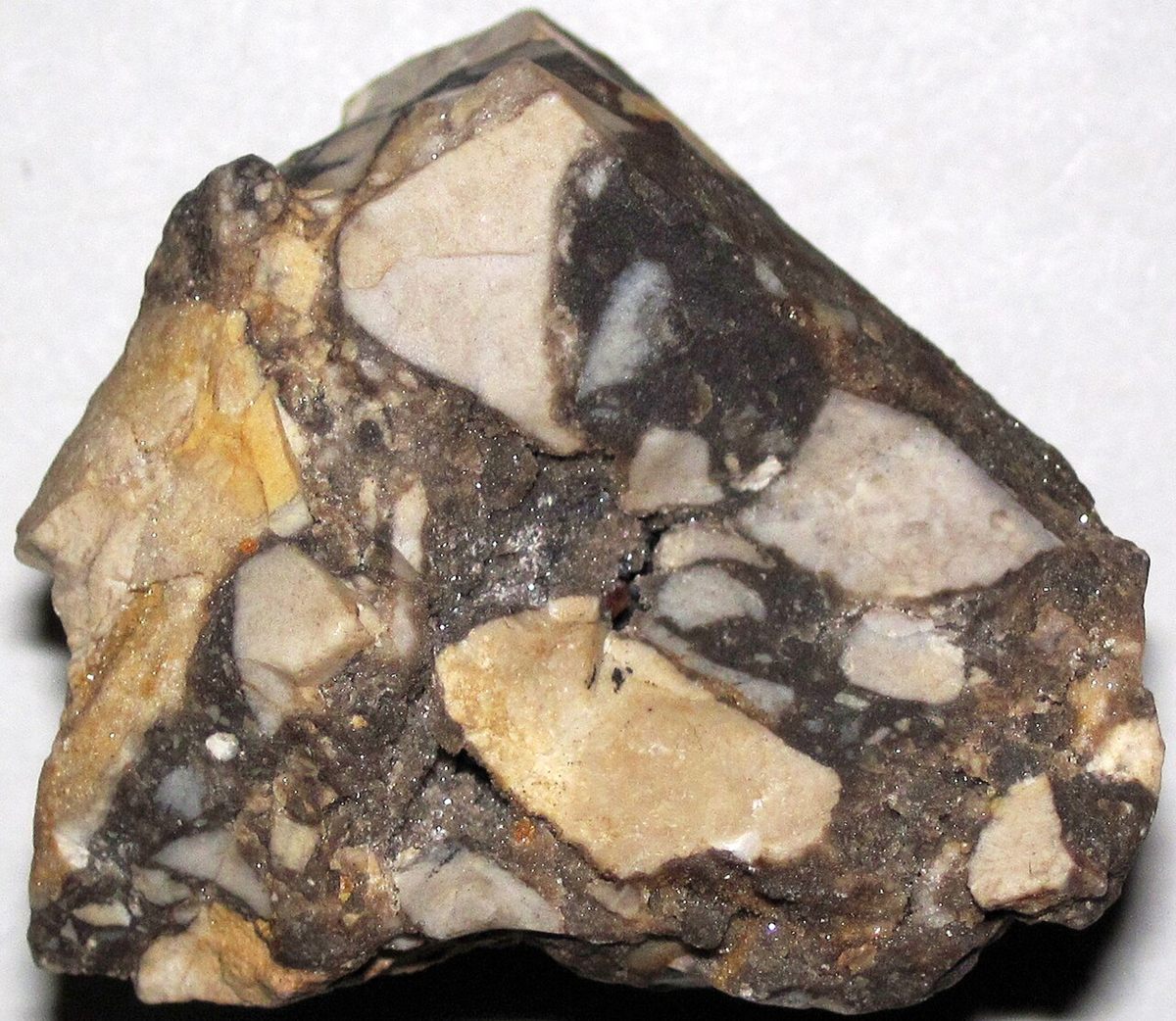 Photograph of Chert (Flint) (Microcrystalline Conchoidal Authigenic Silica)