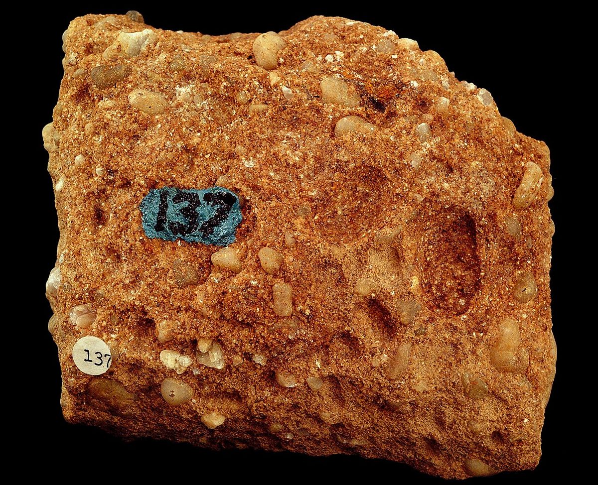 Photograph of Polymictic Conglomerate (Rounded Gravel-Clast Fluvial Conglomerate)