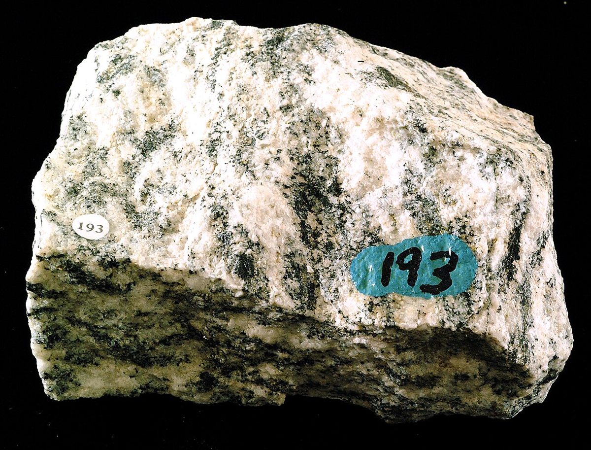 Photograph of Diorite (Plagioclase–Hornblende Diorite)