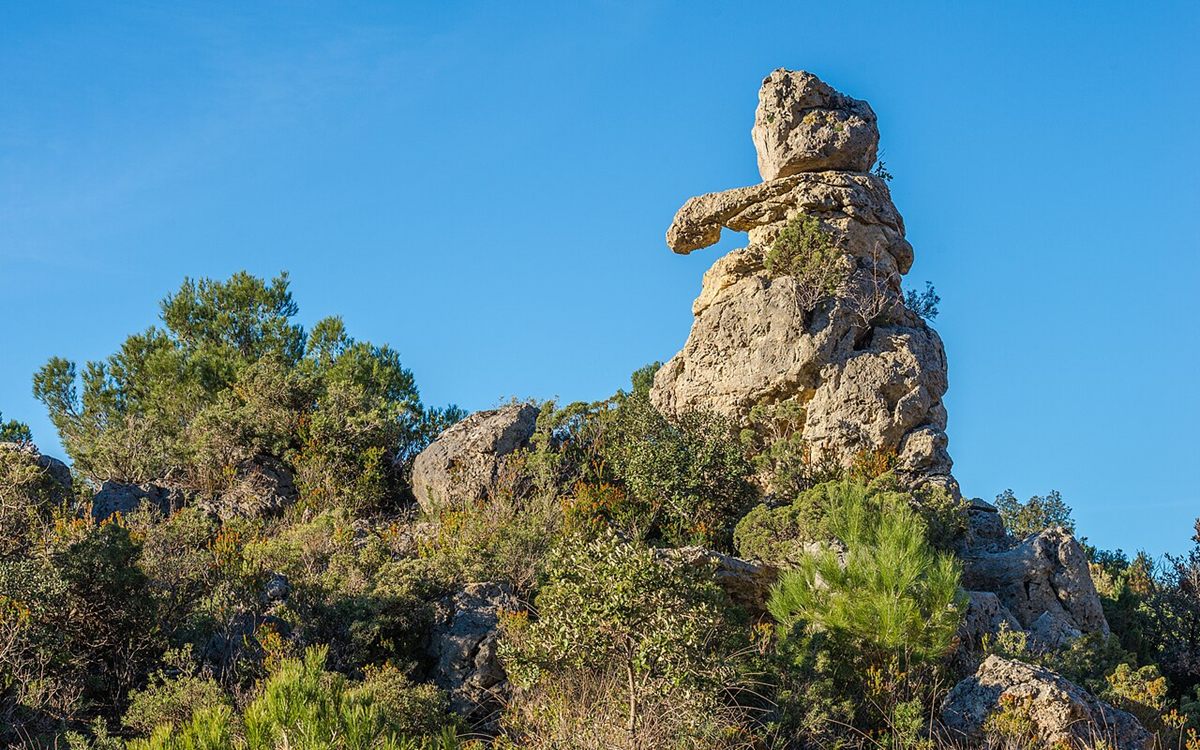 Photograph of Dolostone (Diagenetic Calcium–Magnesium Carbonate Rock)