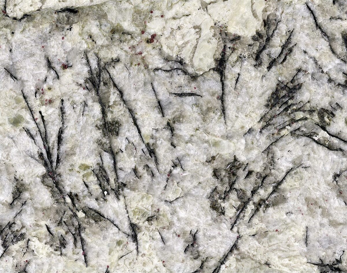 Photograph of Granite (Biotite–Hornblende Granite)