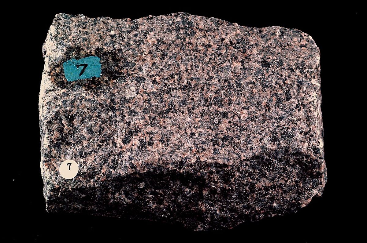 Photograph of Granodiorite (Plagioclase–Quartz–Biotite Granodiorite)