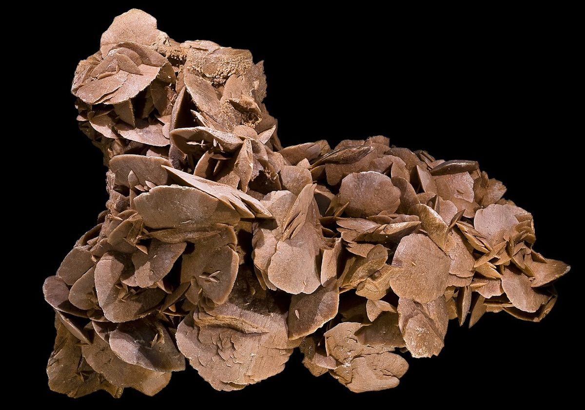 Photograph of Gypsum (Selenite / Desert Rose) (CaSO₄·2H₂O • Monoclinic Calcium Sulfate)
