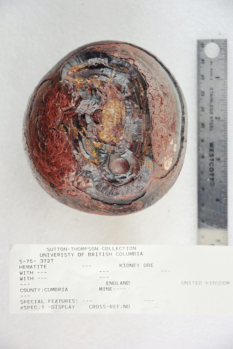 Photograph of Hematite (Kidney Ore / Specularite) (Fe₂O₃ • Trigonal Iron Oxide)