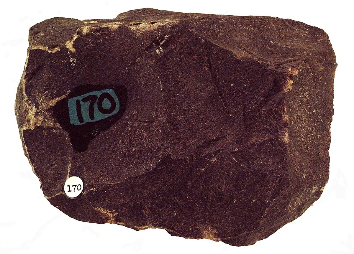 Photograph of Cordierite–Biotite Hornfels (Contact-Metamorphic Granoblastic Hornfels)