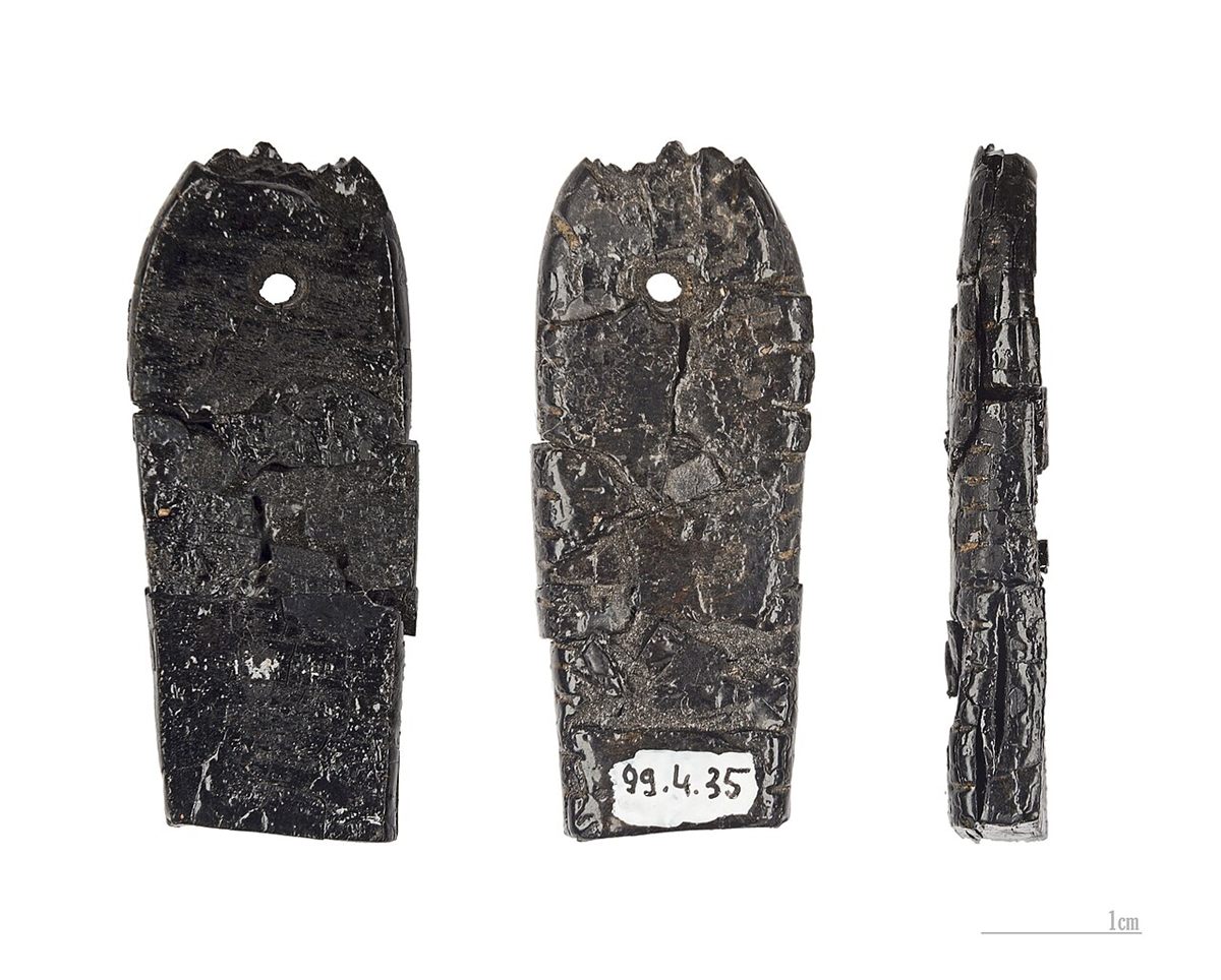 Photograph of Lignite (Brown Coal) (Low-Rank Compressed Peat Carbonaceous Rock)