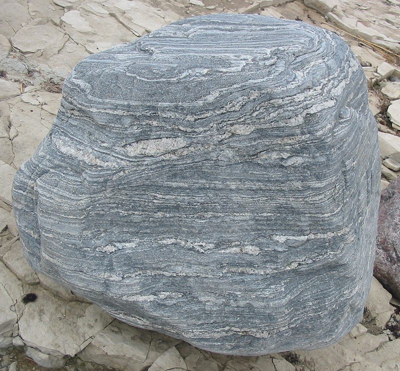 Photograph of Migmatite (Anatectic Leucosome–Melanosome Composite Rock)