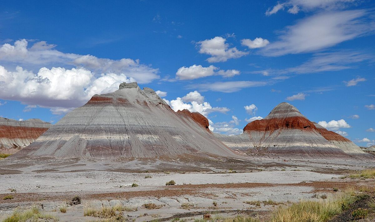Photograph of Mudstone (Massive Non-Fissile Argillaceous Mudstone)