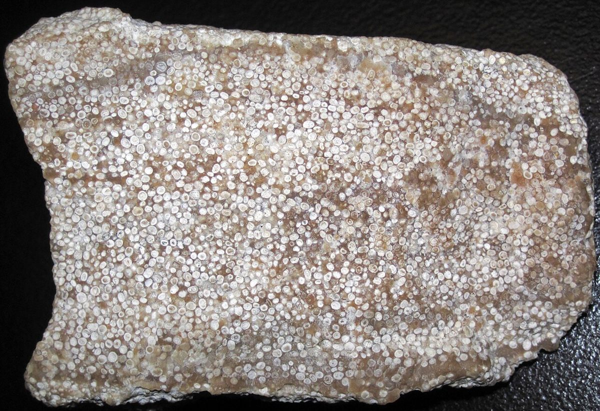 Photograph of Oolitic Limestone (Concentric Calcite-Ooid Grainstone)