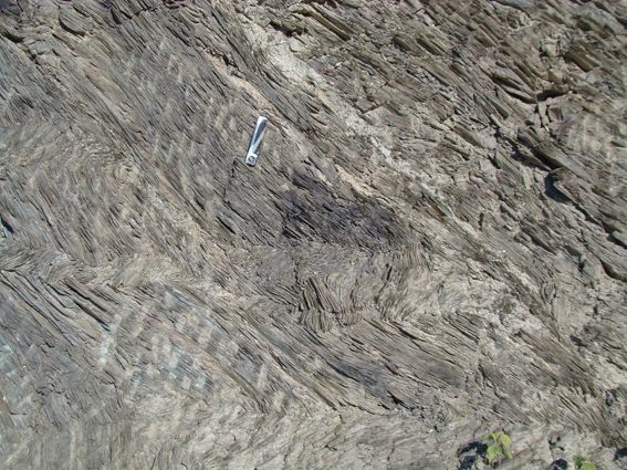 Photograph of Phyllite (Silky Sericite-Lustre Crenulated Metapelite)