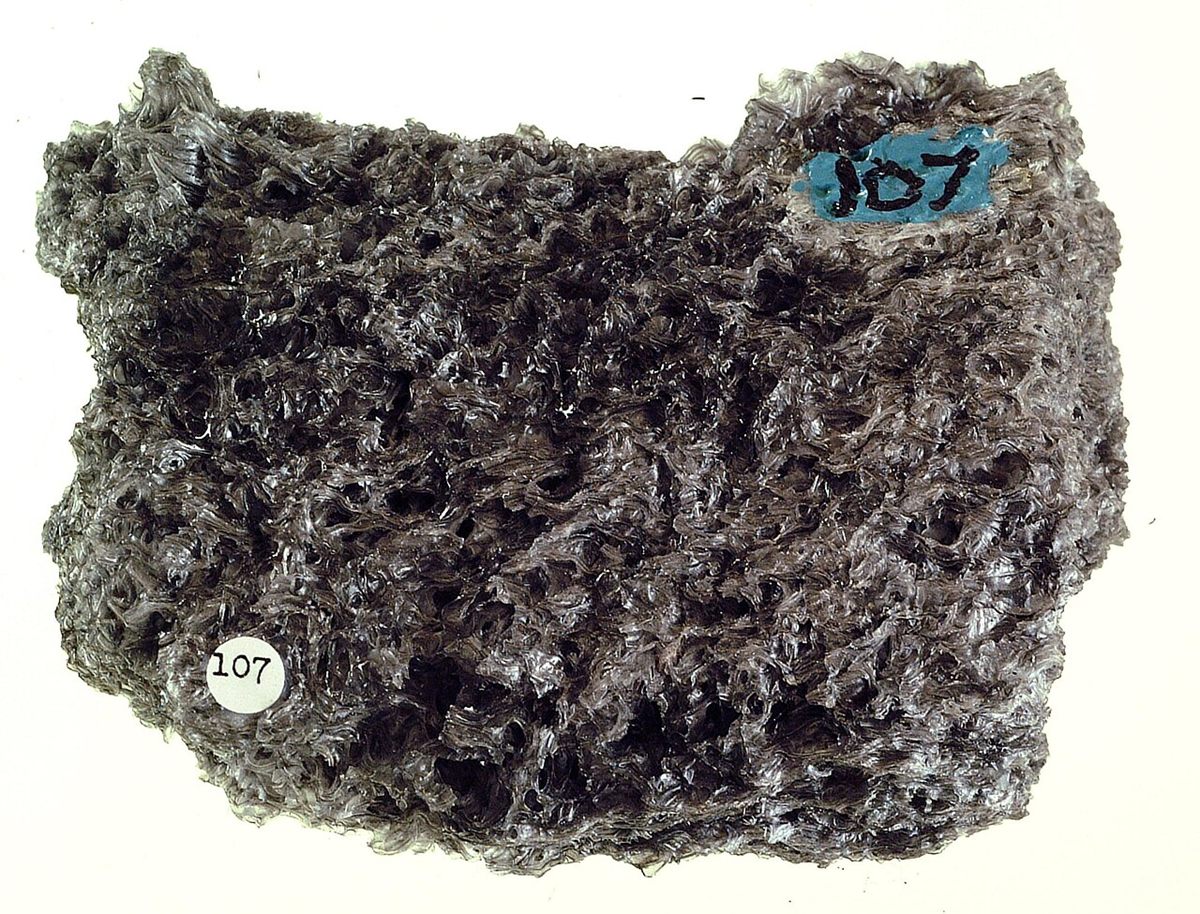 Photograph of Pumice (Vesicular Frothy Silicic Volcanic Glass)