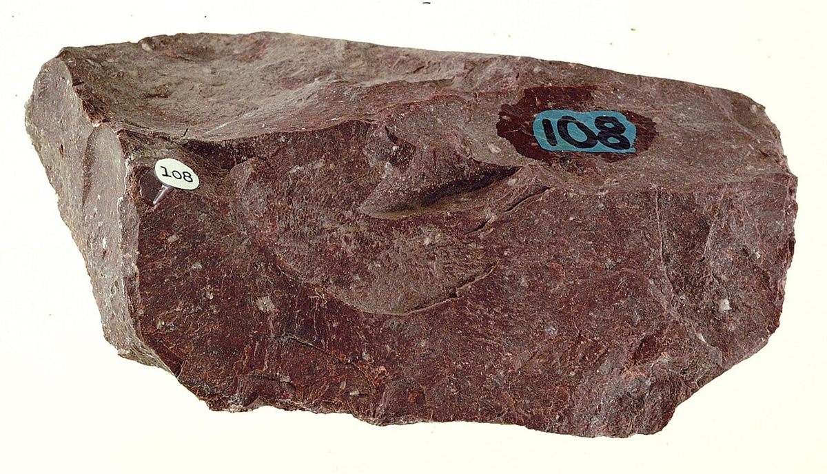Photograph of Rhyolite (Flow-Banded Silicic Rhyolite)
