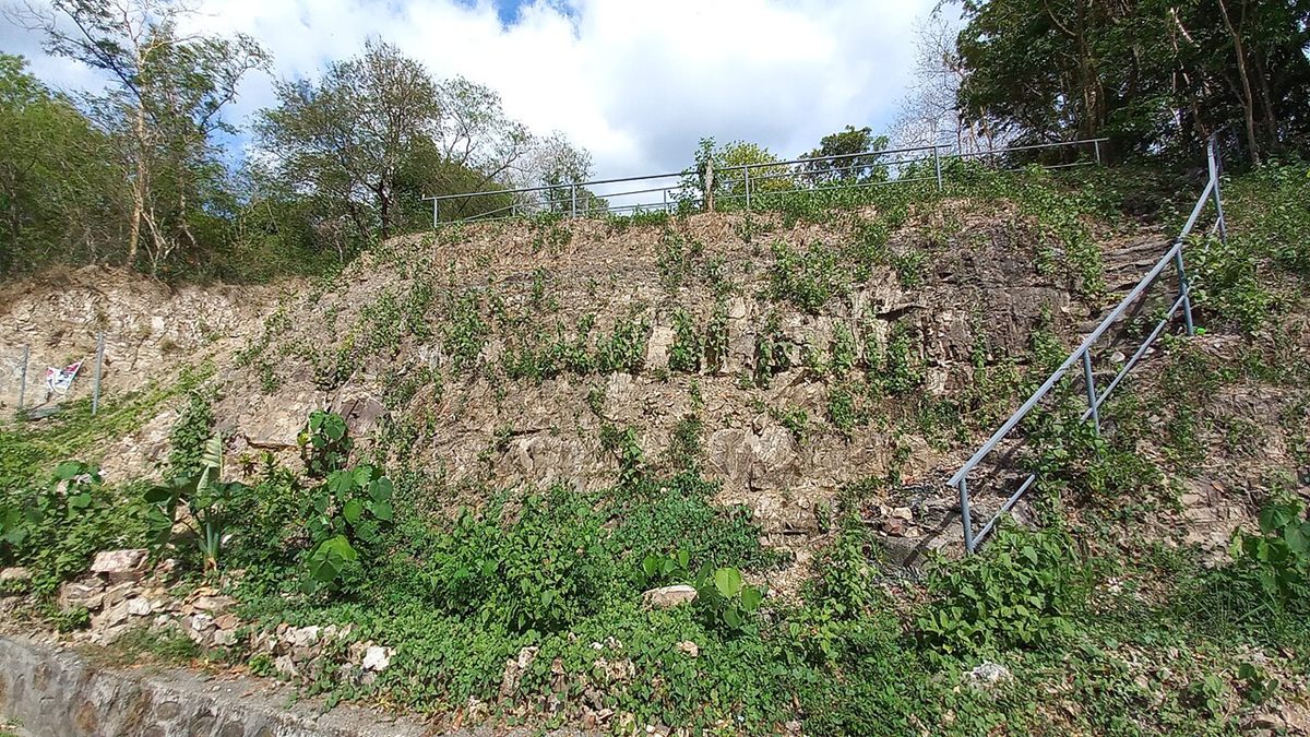 Photograph of Siltstone (Fine Quartz-Silt Clastic Mudrock)