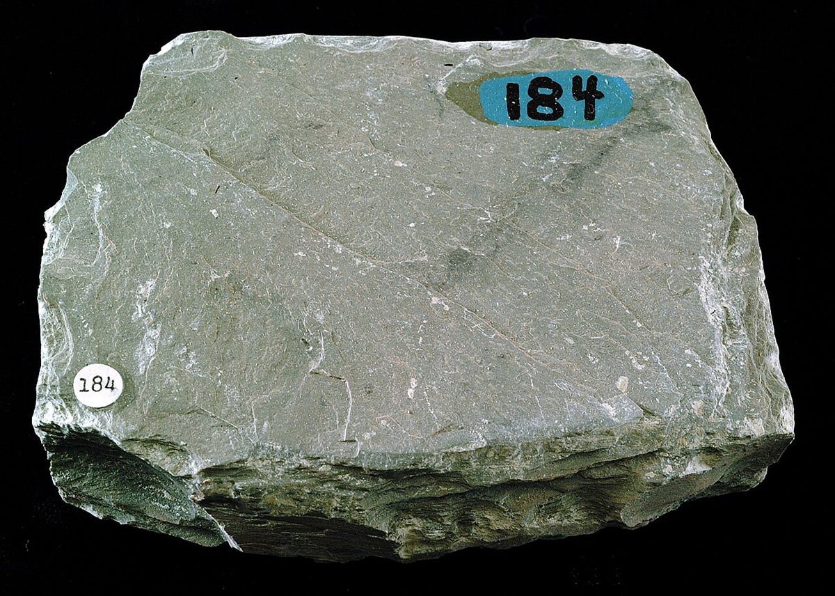 Photograph of Roofing Slate (Fine-Grained Slaty-Cleavage Metapelite)