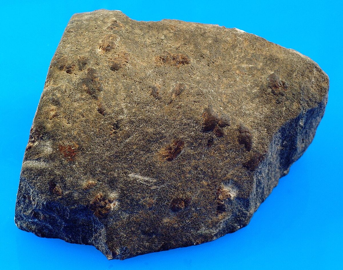 Photograph of Staurolite Mica Schist (Barrovian Staurolite-Zone Pelitic Schist)