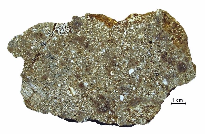 Photograph of Impact Suevite Breccia (Shock-Metamorphosed Impact Melt Breccia)