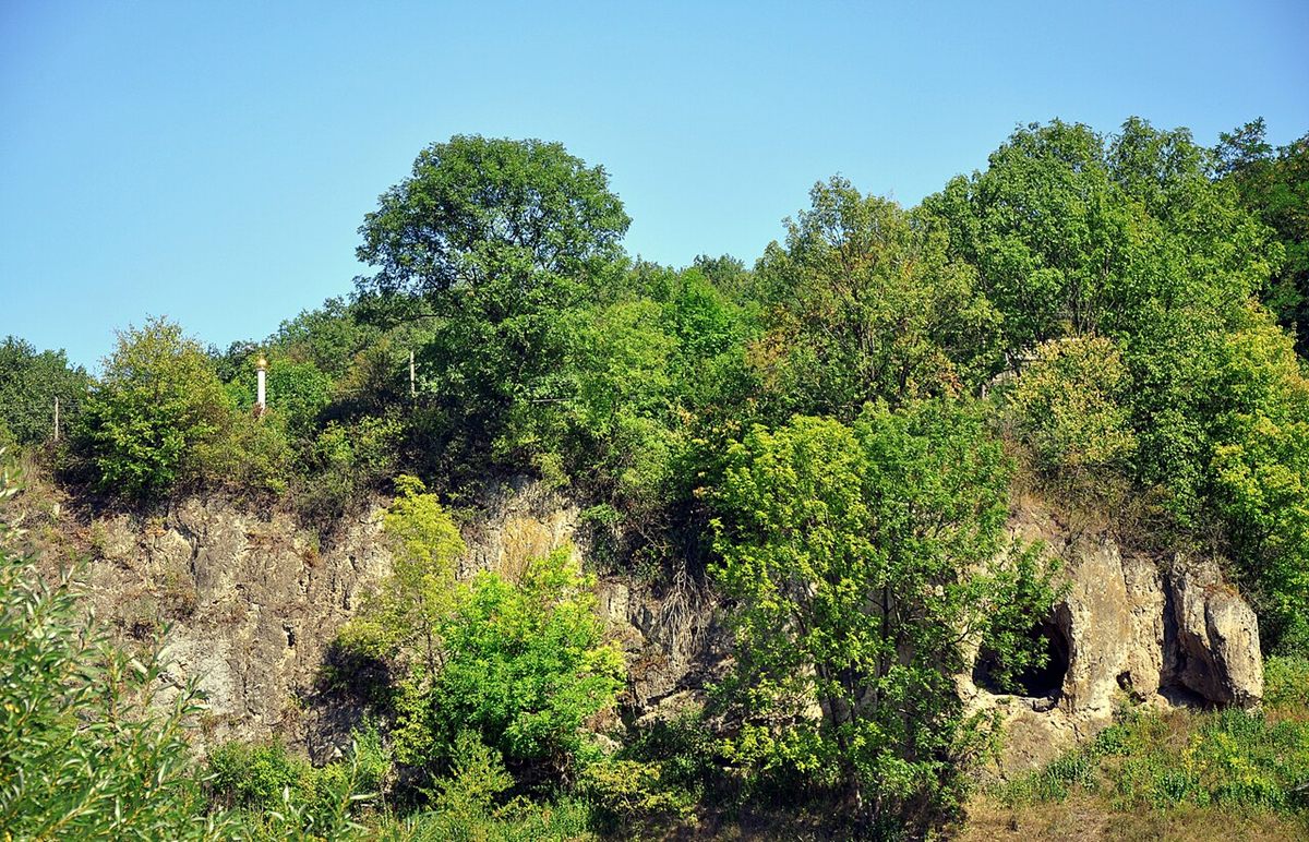 Photograph of Travertine (Banded Hydrothermal Calcium Carbonate Sinter)