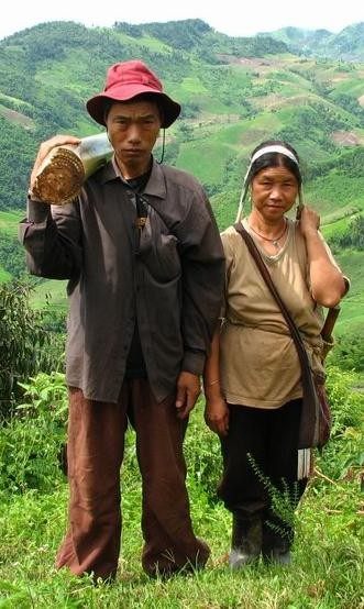 Photo of Human (Homo sapiens)